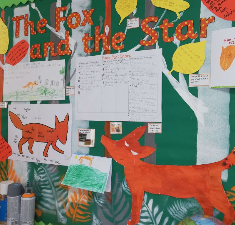 foxes board